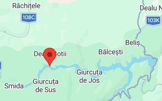Teren intravilan, 3040 mp, Dealu Botii, com Belis, Comision 0 - Poză 7