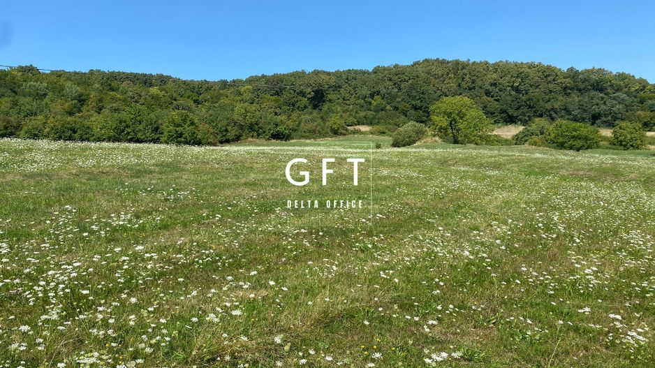 Teren Extravilan 11.000mp-Unirea-Valea Slatinitei - Poză 3