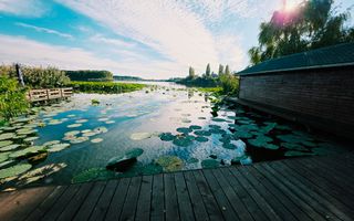 Vilă cu ponton privat la Lacul Snagov – casă de oaspeți, cramă, 1.768 mp - Poză 3