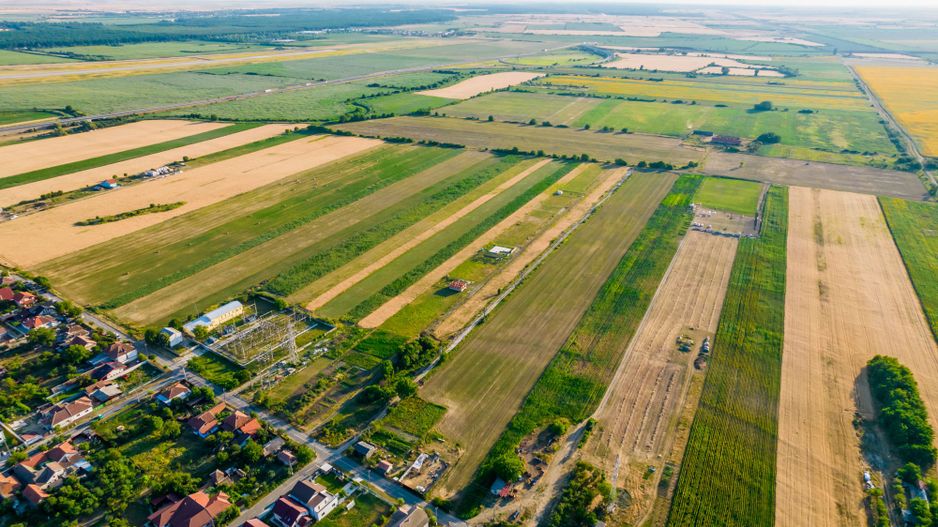 50 ha teren compact în Bujac - Poză 9