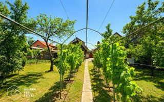 Casa cu teren 688 mp, 2 corpuri de cladire, Parneava - Poză 21