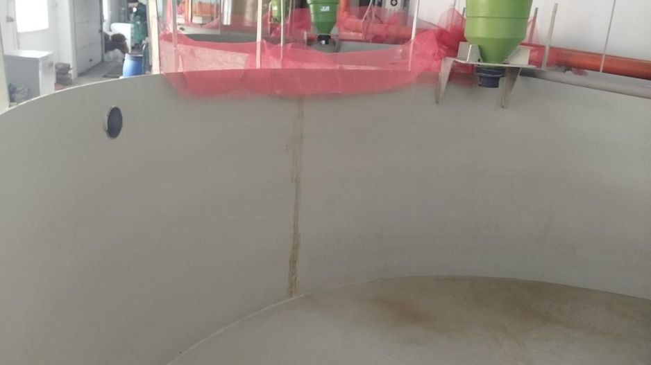 Pensiune + fermă piscicolă (sturion/caviar) | Saru Dornei/Sarisor - Poză 28