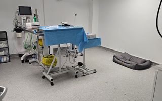 OCAZIE Spatiu Comercial Herastrau/Aviatiei - Poză 11