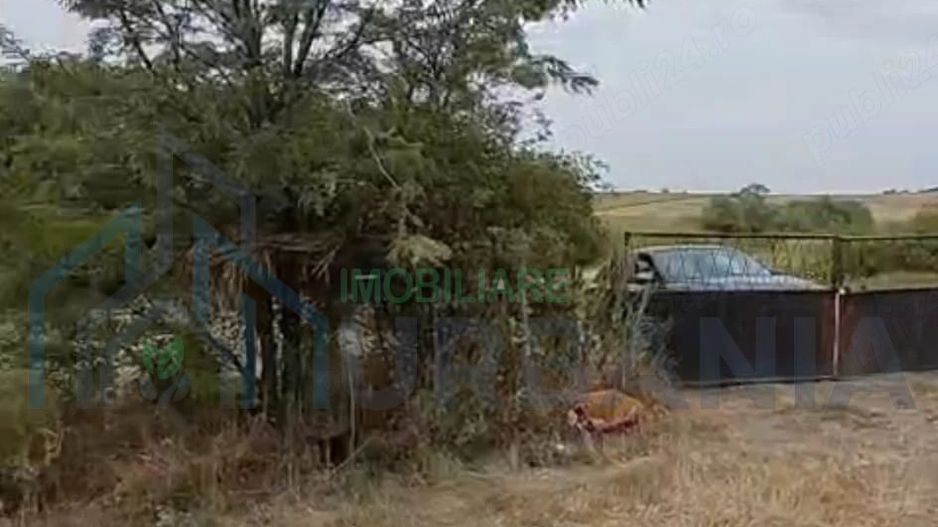 Livadă pe rod de 1570 mp, cu acces facil, în Muntenii de Jos, județul Vaslui - Poză 4