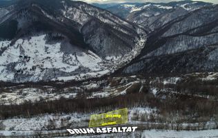 Teren intravilan 3127mp Front 47m | drum asfaltat | Plopi Valea Ierii