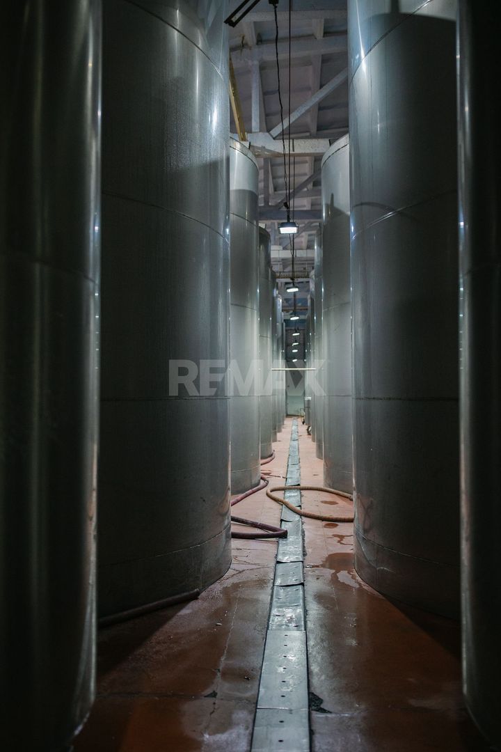 Complex Vitivinicol de Referință în Sudul Moldovei | 206 ha teren agricol | Investiție strategică - Poză 5