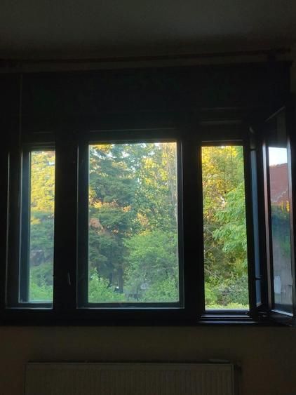 De vanzare Apartament 3 camere în vilă, Kiseleff, Arcul de Triumf - Poză 7