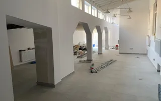 VANZARE - VILA 9 CAMERE  - Vasile Lascar, Mihai Eminescu, Bd. Dacia - Poză 12