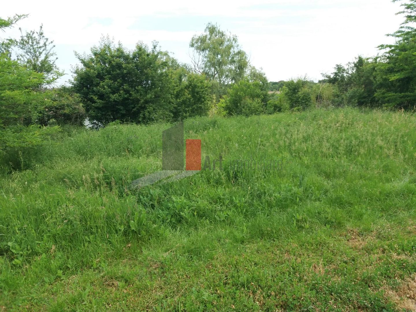 Teren Buftea cu iesire la lac - Poză 6