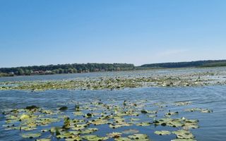 Teren Intravilan Snagov - Poză 3