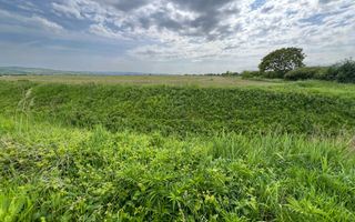 Teren de vanzare, 25.561mp in zona Soseaua de Centura, 58ml deschidere - Poză 5