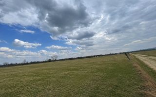 Teren pretabil construcții/investiții | 2.600 mp| Horodnicu de Sus - Poză 5