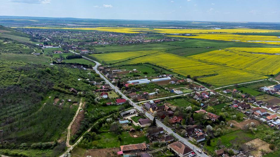 4.300 mp teren pe deal împădurit la Miniș - Poză 6