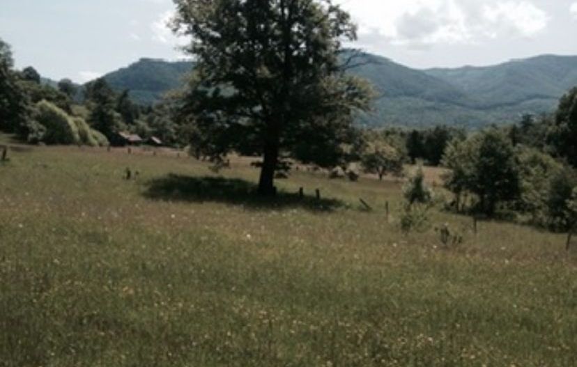 Teren Intravilan 720 mp. Bistra Muresului - Poză 3