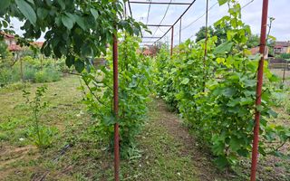 BRASADAS vinde casa individuala 8 cam 8.6a zona Baritiu. - Poză 25