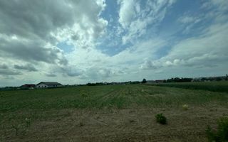 Vând Teren Intravilan 18.500Mp|  Dumbrăveni/SuceavaI 6000 EuroAr - Poză 1