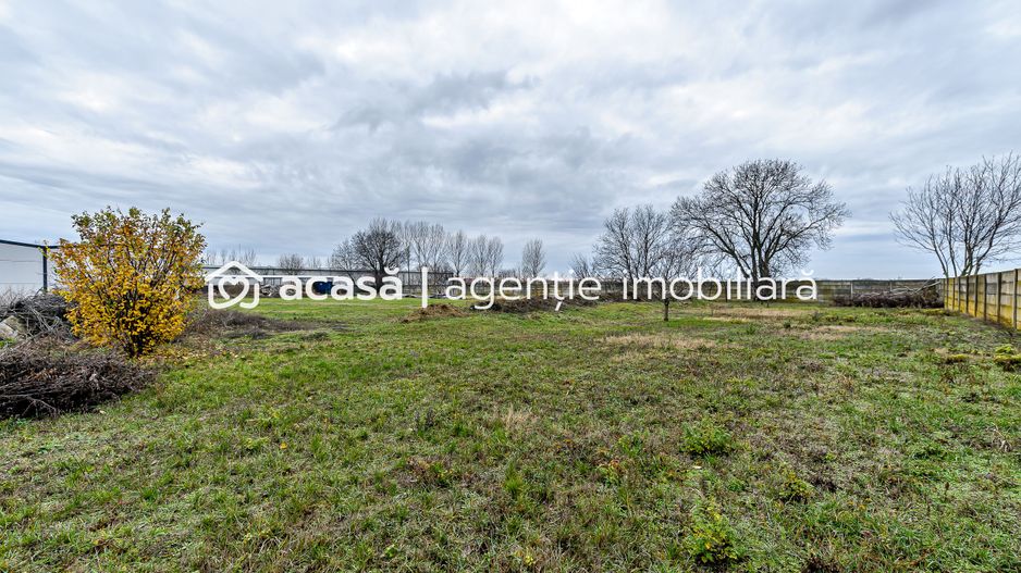 Hale depozitare/producție 2.000 mp si 10.000 mp teren în Pecica - Poză 14