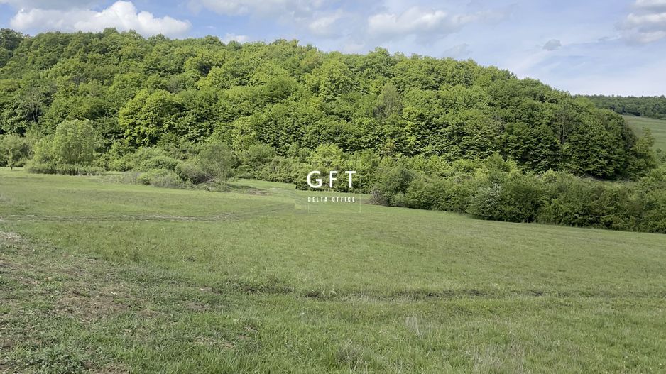 Teren extravilan 10000 mp, Jelna. - Poză 16