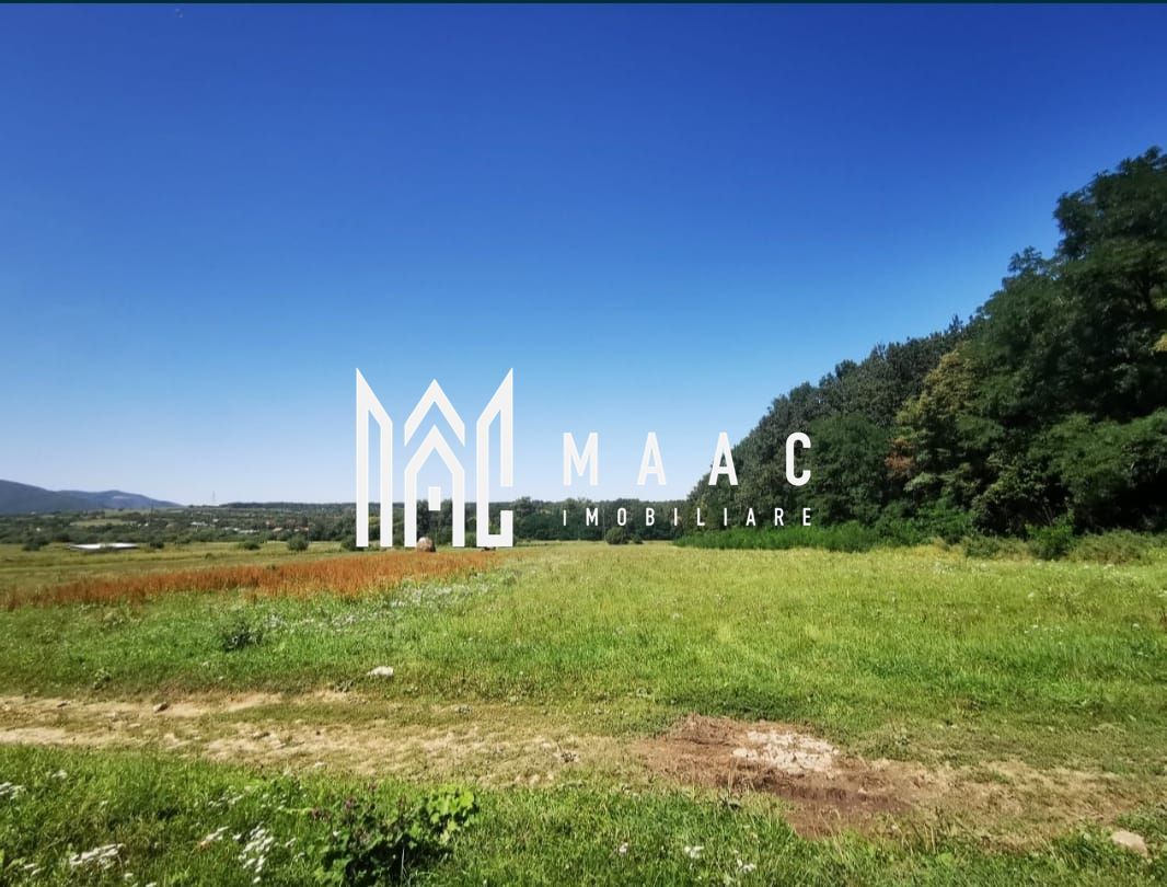 Teren extravilan I Parcelare I Rasinari - Poză 2