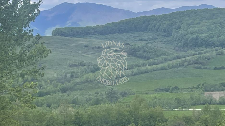 Teren 22700 mp-parcelabil-ideal casa de vacanta-panoramic-Cusma - Poză 5