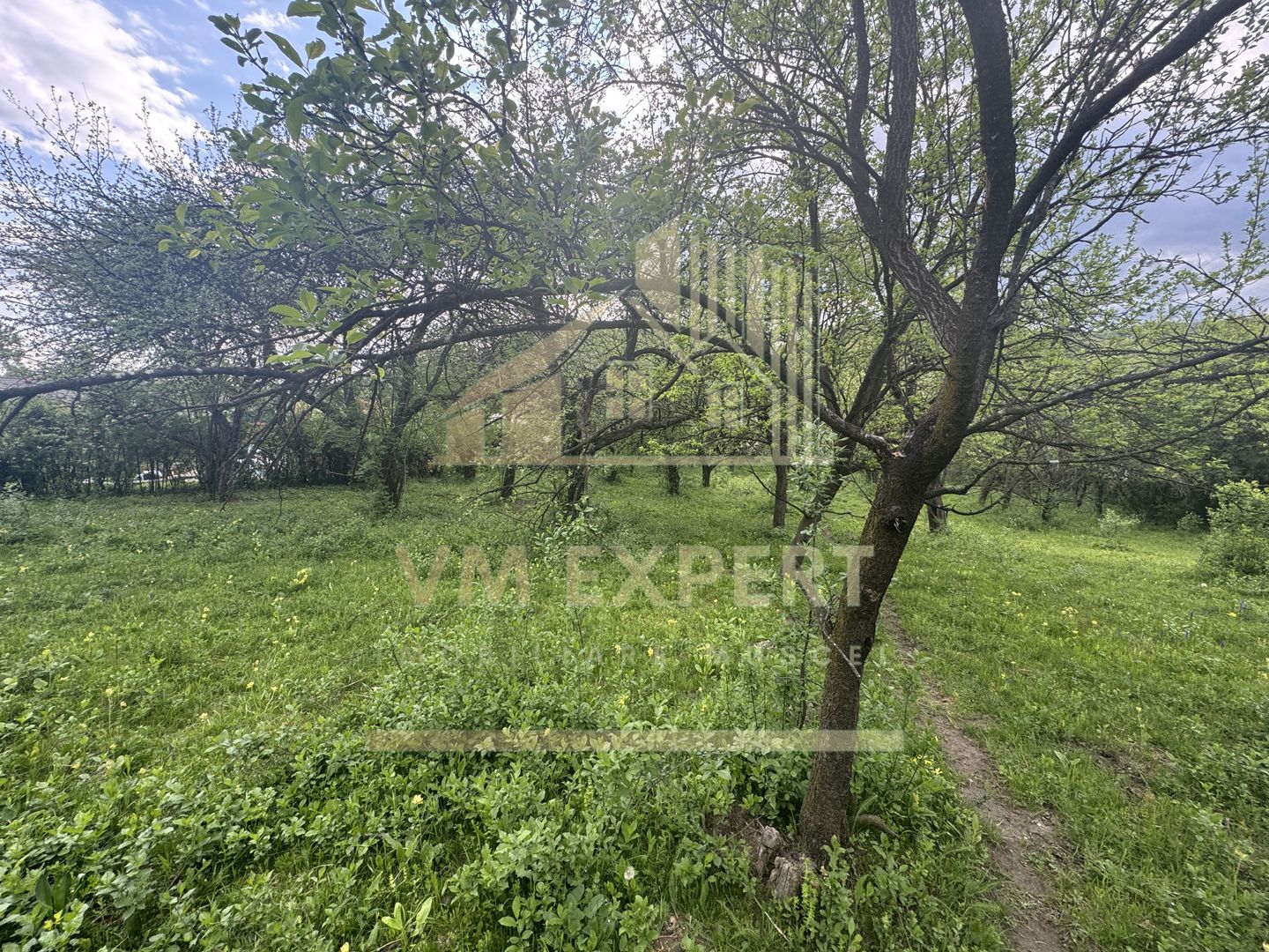 TEREN INTRAVILAN 7018 MP CAMPULUNG - Poză 25