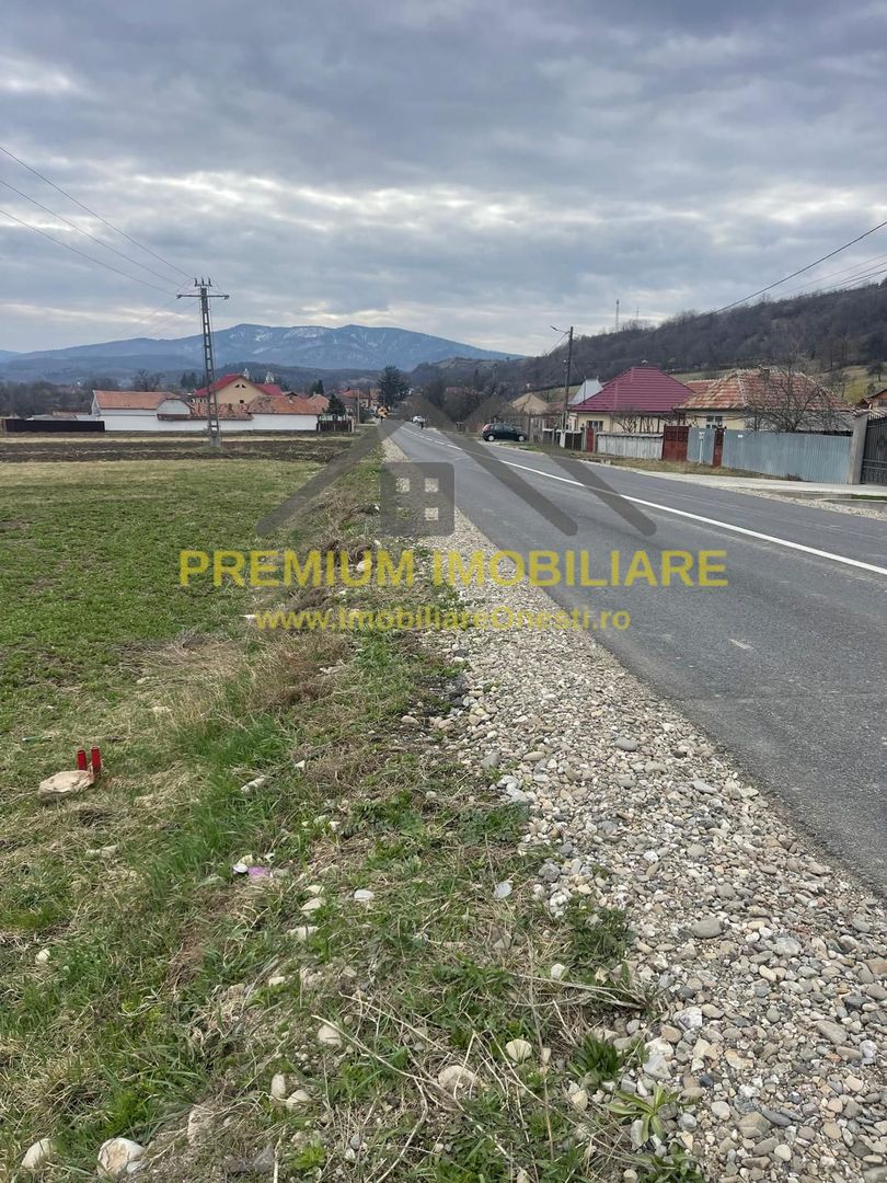 Vânzare teren 3145 mp – Mănăstirea Cașin, Onești - Poză 2