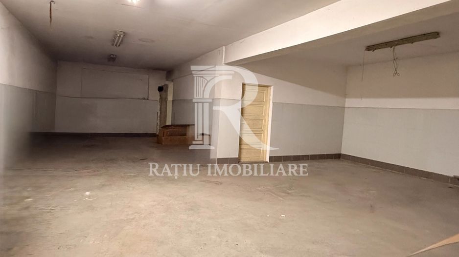 Casă cu Hală Industrială | Teren 3.200 mp | Ineu | Bihor - Poză 19