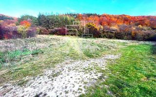 Teren intravilan, 1500 mp, zona Roata Faget - Poză 3