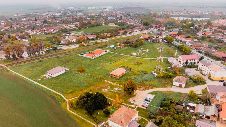 Teren în Zimandul Nou - Poză 6