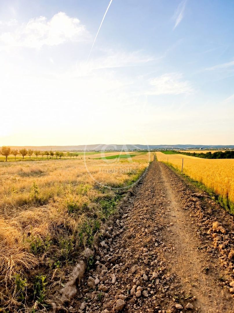 Teren intravilan de vanzare in Alparea, Bihor - Poză 2