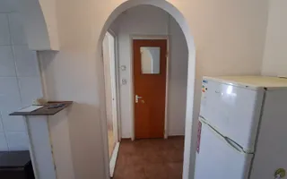 Teiul Doamnei- Apartament 2 camere decomandat | Etaj 10/10 - Poză 11
