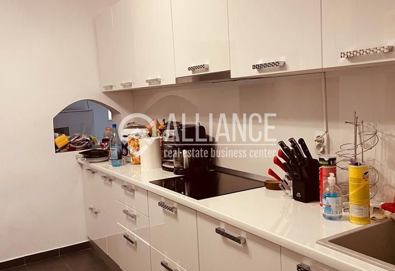 Vila deosebita Kamsas-Baba Novac (COD 08) - Poză 9