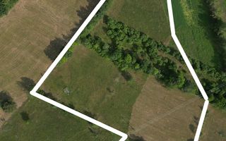 Teren cu utilități în zonă de pădure, Moinești - Poză 6