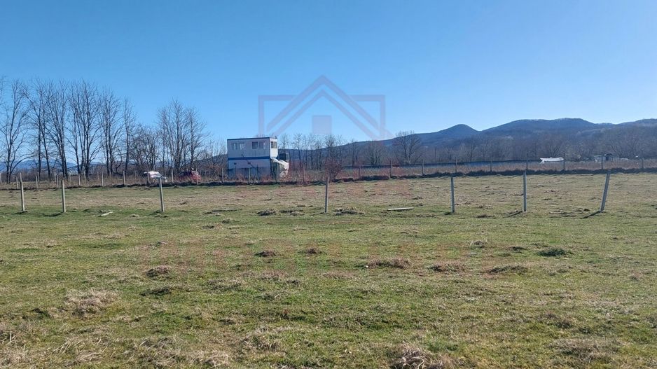 TEREN CU PLANTAȚIE DE TRANDAFIRI ,,ROSA DAMASCENA,\ \CARANSEBEȘ\JUD.CS - Poză 6