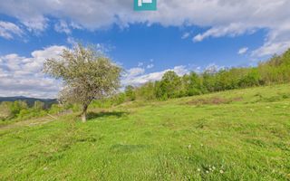 Casă cu teren de 17.681 mp, în loc. Hălmăgel, Arad - Poză 23