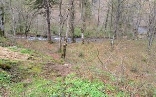 Teren Intravilan |2000Mp| Valea Avrigului - Poză 6