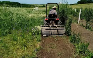 Teren intravilan cu PLANTATIE DE GOJII de vanzare in Racari - Poză 22