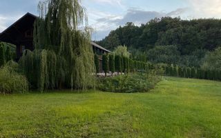Vanzare teren 3000 mp, cabana, zona D D Rosca, Faget - Poză 1