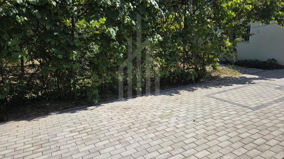 Casă de închiriat | Zona Calea Dumbrăvii - Poză 9