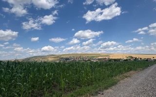 Teren Intravilan de Vanzare in Letcani, Judetul Iasi - 3.684 mp - Poză 2