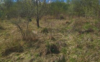 Casa P+M 3 camere 110 mp-teren 1400 mp-Zona Valea Jelnei - Poză 14