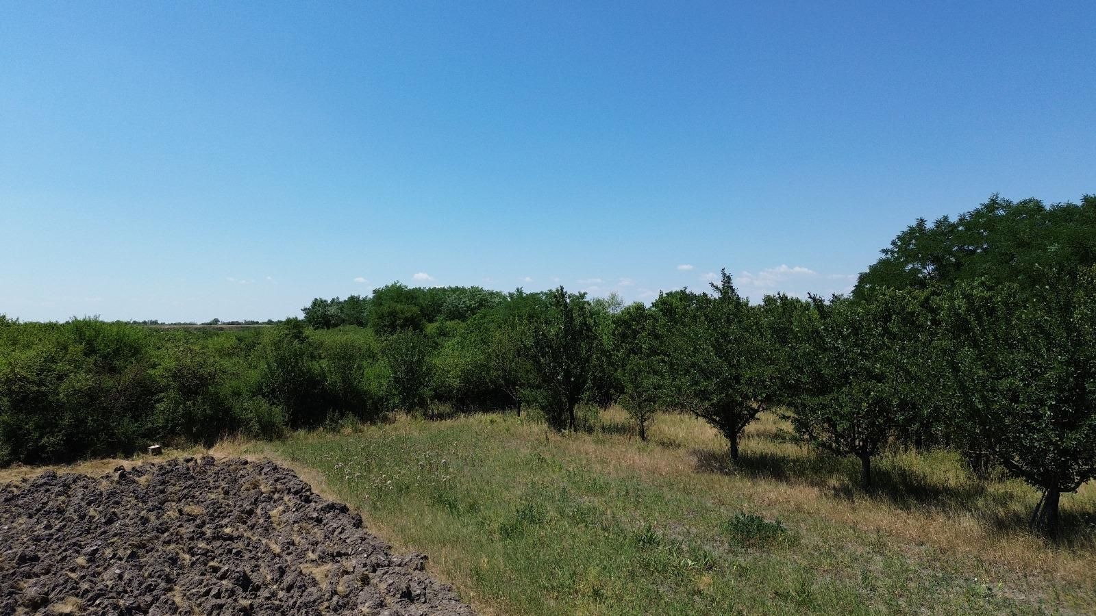 Teren cu livadă – 9.000 mp –la 400 m de ieșirea din Chișinau Cris - Poză 6