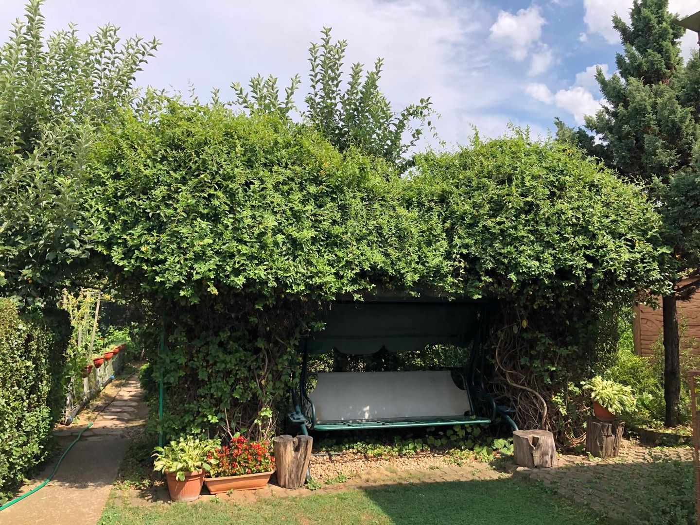 BRASADAS vinde casa cu 7 camere si teren 1100mp in zona Burdea. - Poză 20