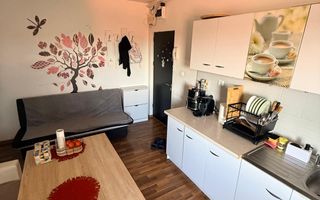2 camere| Lipovei| zona frumoasa| centrala proprie, clima| pet friendly (pisic) - Poză 12