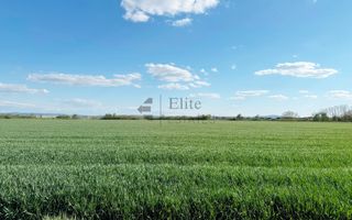Teren extravilan 6450 mp in Osorhei acces din DN1 - Poză 2