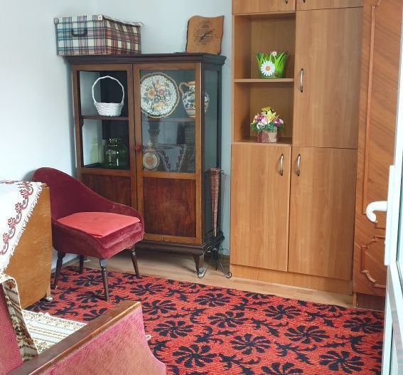 Casa individuala cu 3 camere si 1200 mp teren - zona Mehala - Poză 2