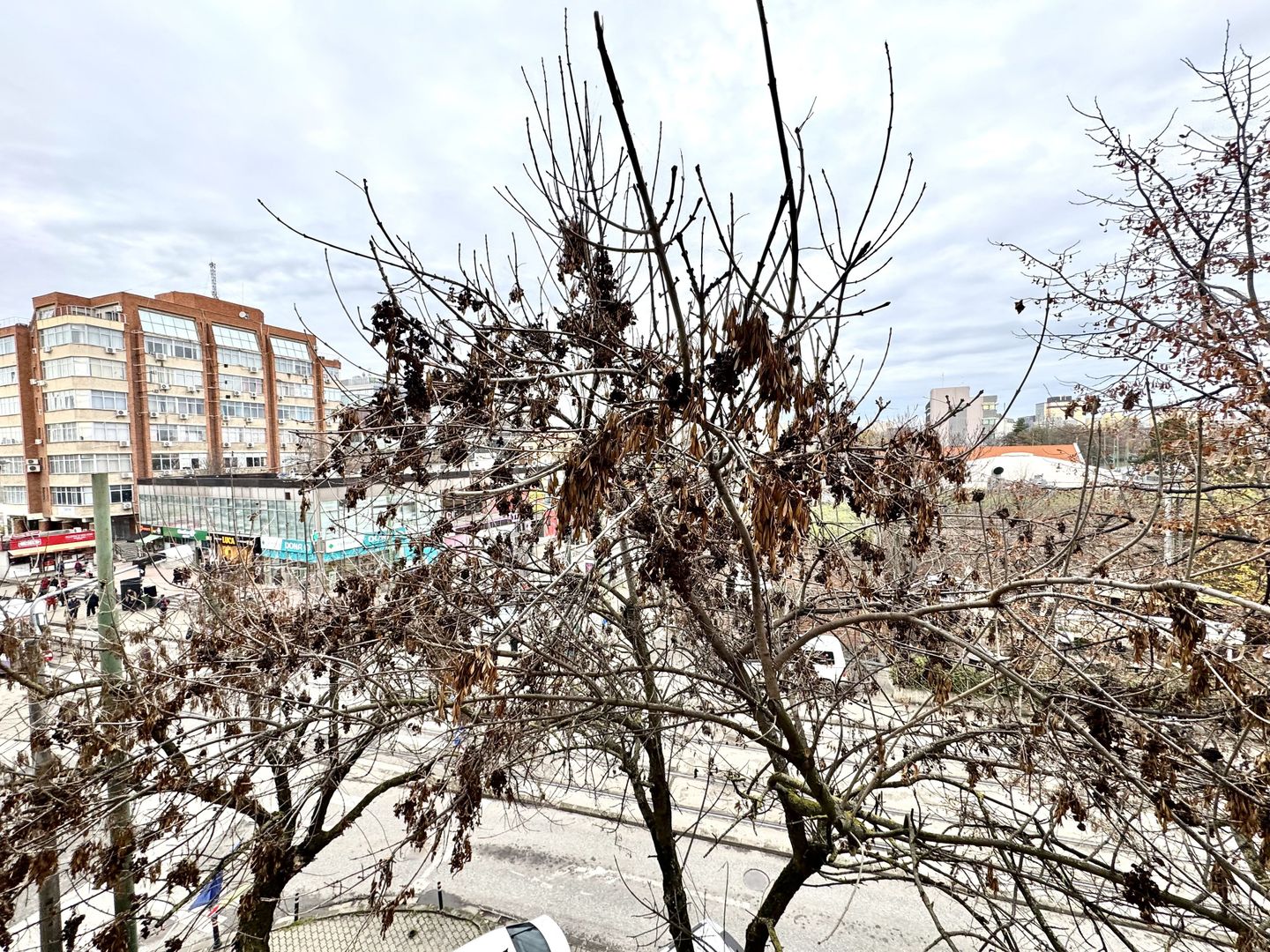 Apartament 1 camera, boem, chiar in centrul Timișoarei - Poză 13