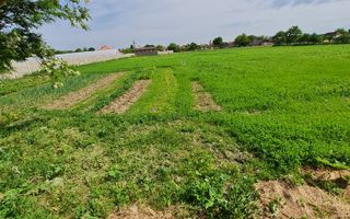 Casa nemțească cu teren generos - Poză 2