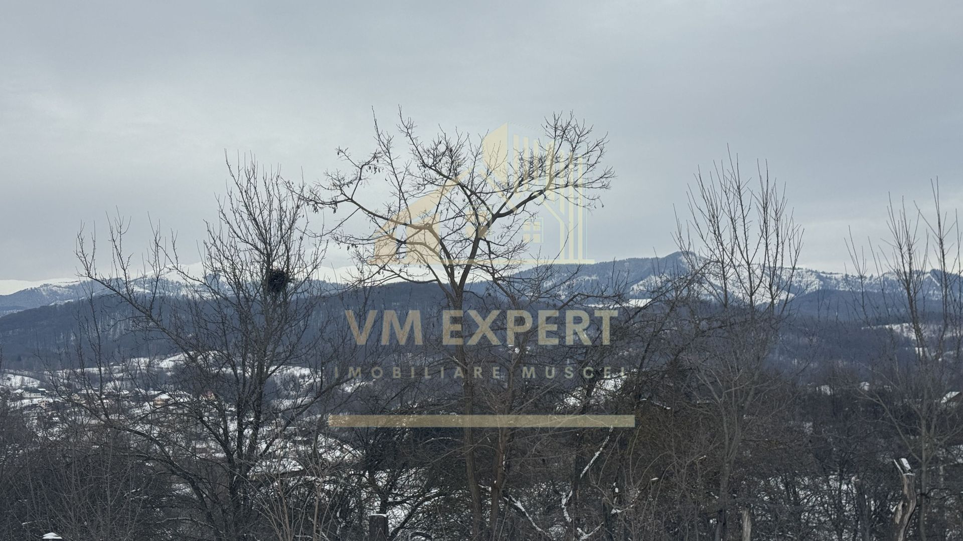 CASĂ 4 CAMERE TEREN 3038 MP ALBEȘTII  DE MUSCEL - Poză 29