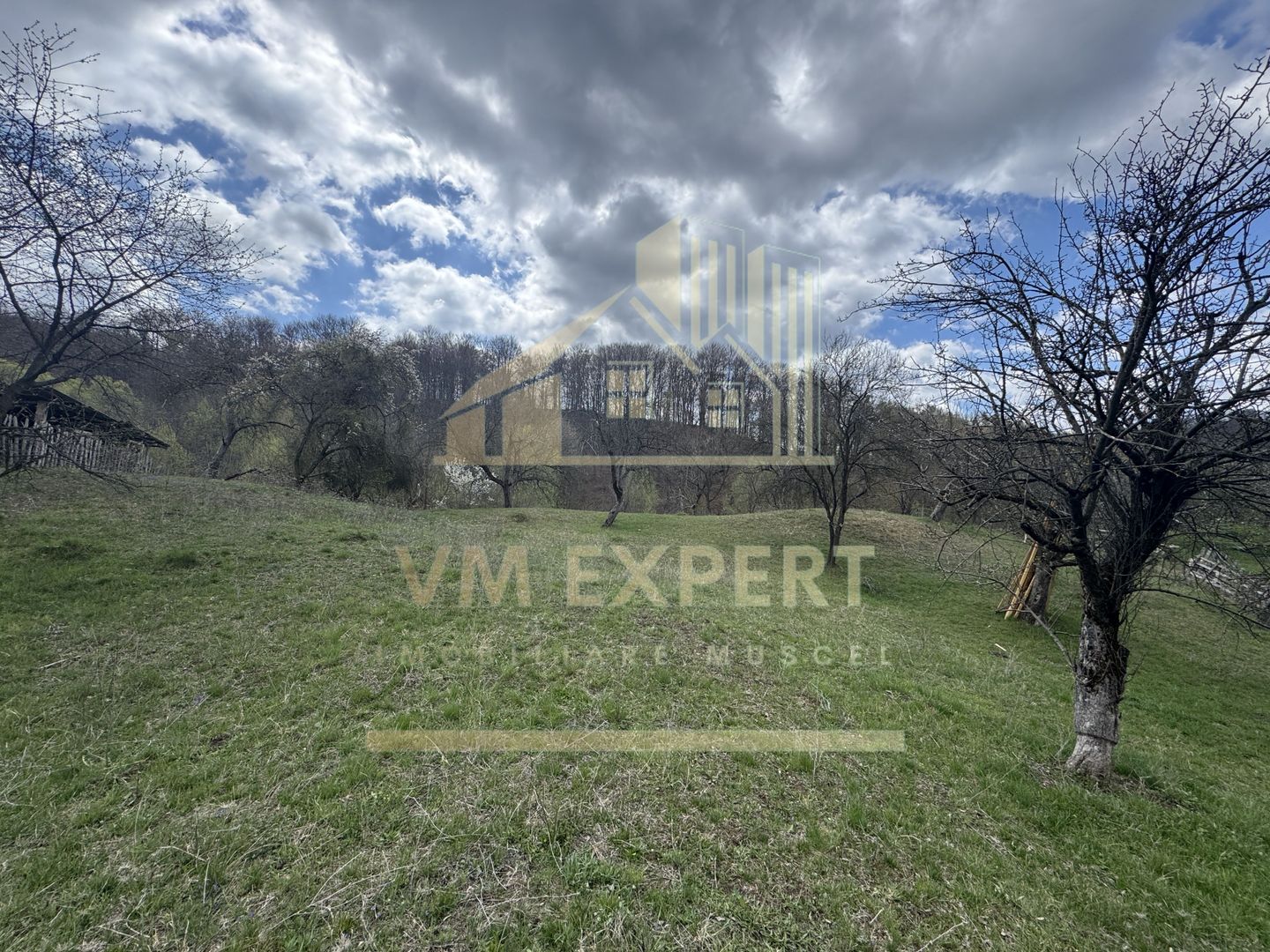 TEREN INTRAVILAN 4365 MP POENARII DE MUȘCEL  JUDEȚUL ARGES - Poză 8